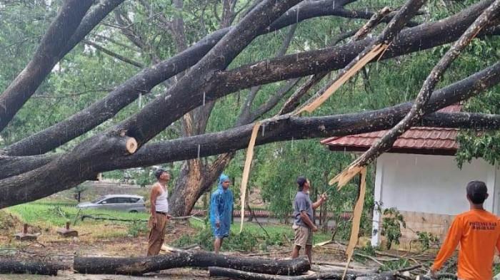 BPBD Lampung Aktifkan Siaga 24 Jam Hadapi Potensi Bencana Hidrometeorologi