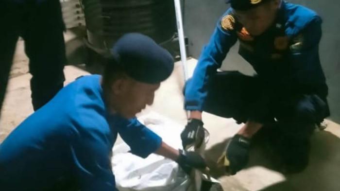Damkarmat Bandar Lampung Lakukan 692 Penyelamatan hingga Oktober, Terbanyak Evakuasi Ular