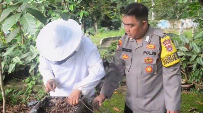 Bripka Ardiansyah Inisiasi Budi Daya Madu Klanceng, Bantu Warga Pringsewu Bangkitkan Ekonomi Desa