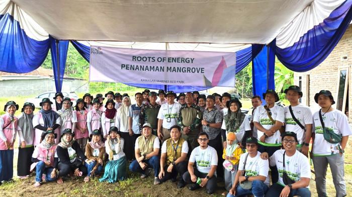Kolaborasi tanam mangrove dok