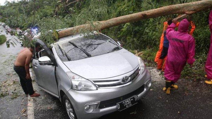 Cegah Kasus Kendaraan Tertimpa Pohon, Ini Imbauan Kapolresta Bandar Lampung