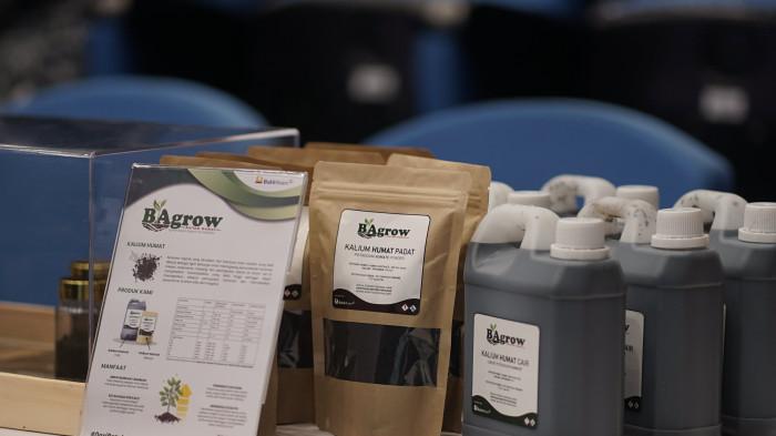 Inovasi PTBA Dukung Swasembada Pangan, Ubah Si Hitam Jadi Hijau