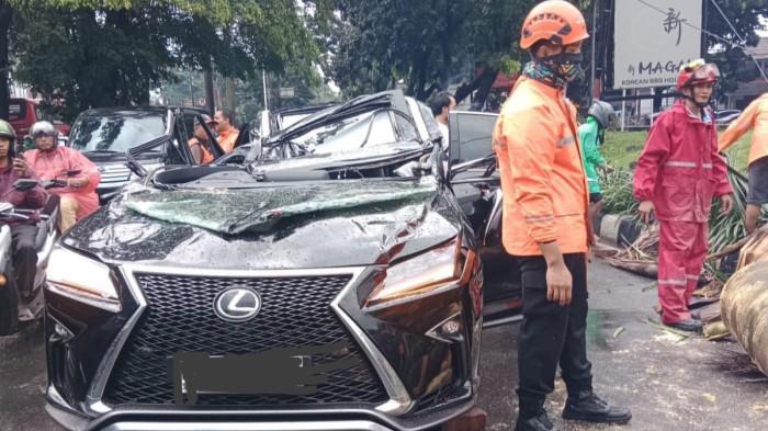 Pengemudi Mobil Lexus Tewas Tertimpa Pohon Tumbang