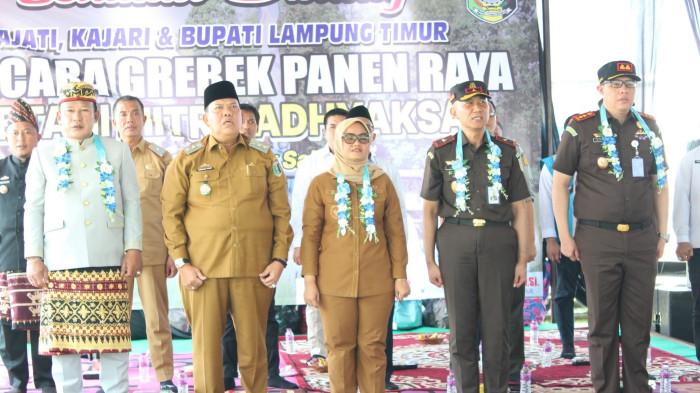 Pemkab Lamtim dan Kejari Panen Raya Padi di Pasir Sakti, Sinergi Wujudkan Program Ketahanan Pangan