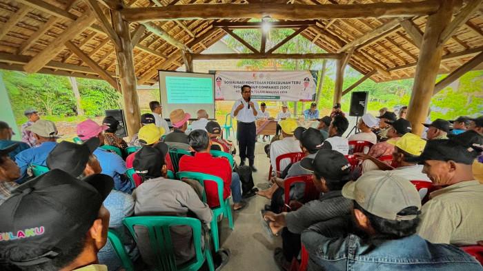 Tebu Harapan Baru Petani Tubaba, Sugar Group Jalin Kemitraan Berkelanjutan
