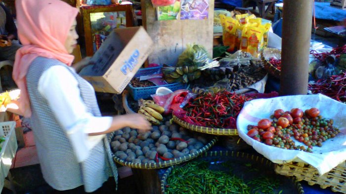 Masa Panen Tiba, Cabai Merah Rp 25 Ribu Per Kg di Gisting