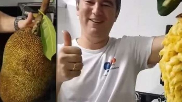 Cukup 2 Menit, Begini Cara Mudah Mengupas Buah Nangka Tanpa Lengket di Tangan