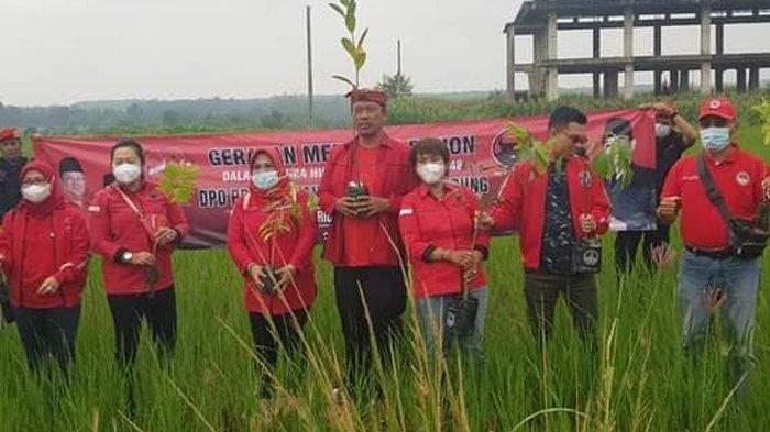 DPD PDI Perjuangan Lampung Tanam Pohon Peringati HUT Ke-48 PDI Perjuangan