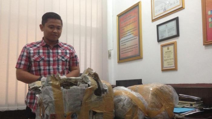 BREAKING NEWS: Upaya Nelson Membawa Paket Ganja dari Medan Tertahan di Bakauheni