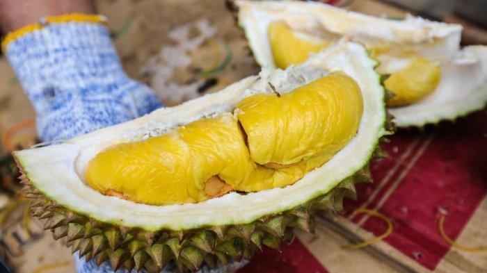 Kuliner Bandung, Rekomendasi Tempat Makan Durian Musang King di Jalan Raya Kopo Mulai Rp 300 Ribuan