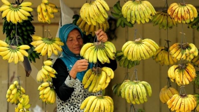 Manfaat Mengonsumsi Pisang, dari Kurangi Risiko Serangan Jantung Hingga Pereda Stres - Tribunlampung.co.id
