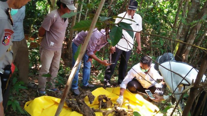 Diduga Terkubur Sejak 2017, Warga Temukan Tengkorak Manusia dengan Kaus Toko Bangunan