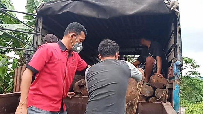 Diupah Rp 6 Juta, 2 Sopir Truk Bawa Kayu Sonokeling Hasil Illegal Logging Diamankan di Tanggamus