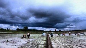 Berawan.jpg