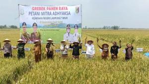 Bulog-Lampung-saat-melakukan-penyerapan-gabah-petani.jpg