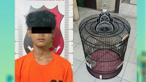 CIDUK-PENCURI-BURUNG-MURAI-Polsek-Blambangan-Umpu.jpg