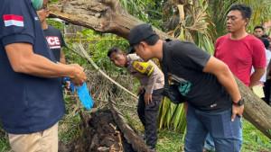 Geger-Ada-Tengkorak-Manusia-Dalam-Pohon-Aren-Identitas-Terkuak-Korban-Hilang-2-Tahun-Lalu.jpg