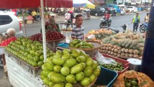 KUR-BRI-Pedagang-buah-Nanas-Nadi12.jpg