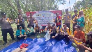 PANEN-SERENTAK-Polsek-Buay-Bahuga457.jpg