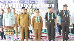 Panen-raya-padi-di-pasir-sakti-dok.jpg