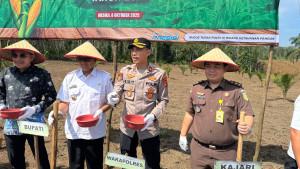 Polres-Mesuji-menanam-jagung-serentak-kuartal-ke-IV-568.jpg