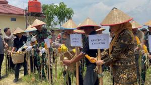 Polres-Pringsewu-menjadi-lokasi-pusat-kegiatan-Panen-Raya-Jagung-Serentak.jpg
