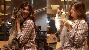Syakira-Artha-Wangsa-foto-bersama-kucing-di-House-of-Meta.jpg