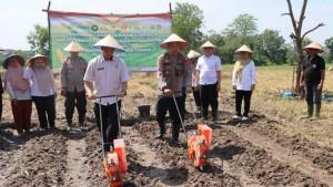 TANAM-JAGUNG-Polres-Pringsewu13.jpg