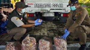 amankan-108-ton-ceker-ayam-ilegal.jpg
