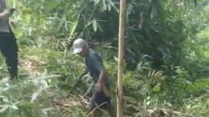 jasad-laki-laki-sudah-membusuk-di-area-kebun-karet-milik-PTPN.jpg