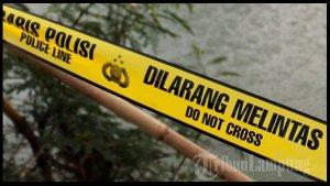 pelaku-pembuangan-bayi-divonis-4-tahun-penjara.jpg