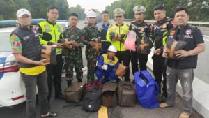 upaya-peredaran-narkotika-di-Tol-Bakter.jpg