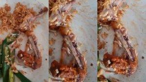 viral-video-ayam-goreng-berbelatung.jpg