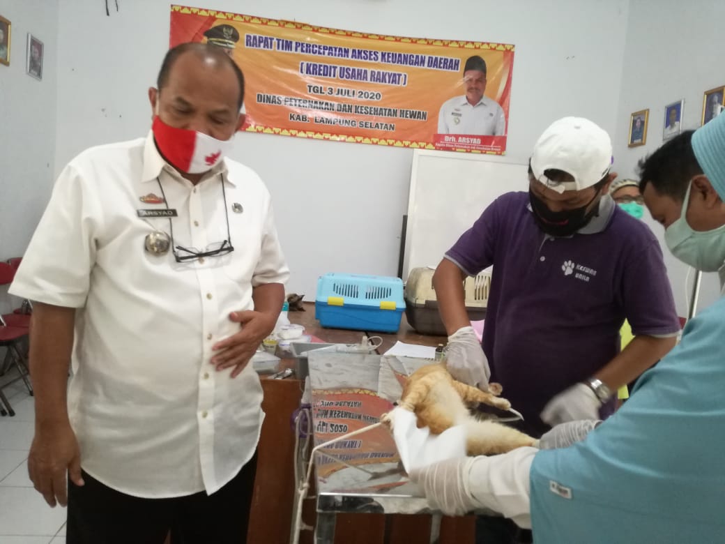 170-hewan-peliharaan-di-lampung-selatan-mendapatkan-vaksin-rabies.jpg