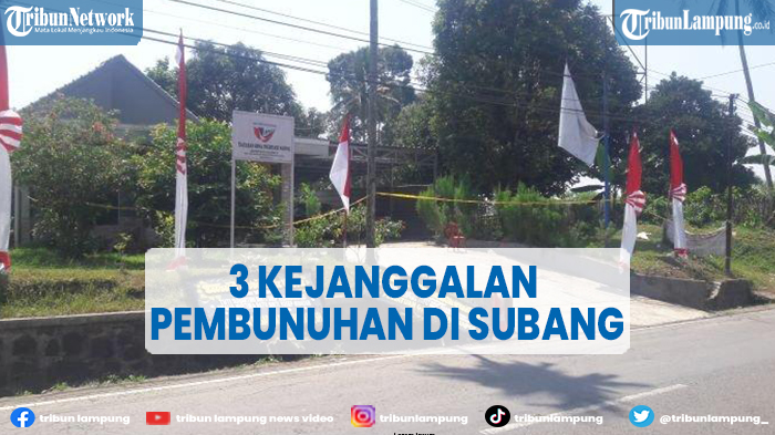 3-kejanggalan-pembunuhan-di-subang-sosok-sopir-alphard-dan-ponsel-amalia-yang-hilang.jpg