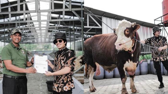 Awalnya-Atta-Halilintar-hanya-iseng-membeli-seekor-sapi-untuk-Ameena.jpg