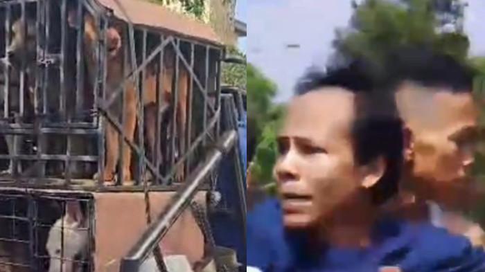 BOCAH-TEWAS-DIGIGIT-ANJING-Penampakan-anjing.jpg