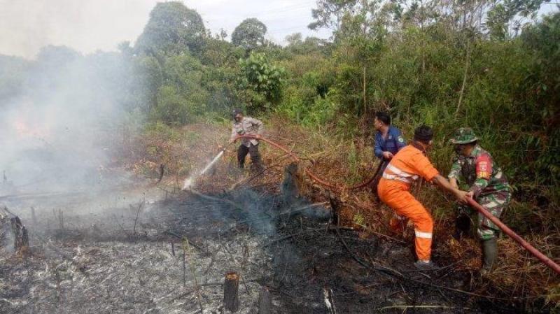 BPBD Lampung Prediksi Hotspot 2026 Melonjak, El Nino Tingkatkan Ancaman Karhutla - Tribunlampung.co.id
