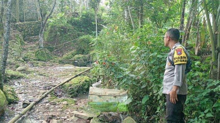 Babi-hutan-serang-pasutri-akhirnya-dibunuh.jpg