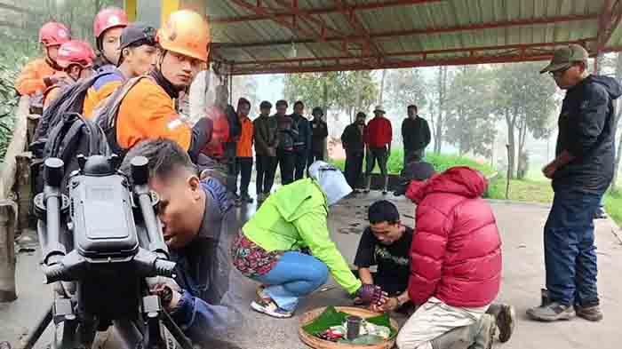 Tribun