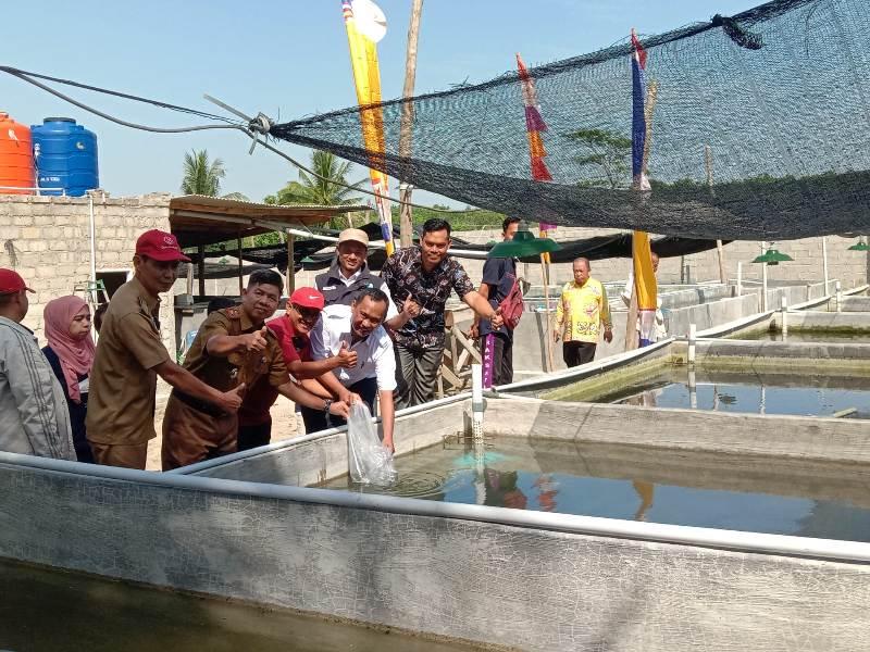 Budaya-ikan-air-tawar-di-Menggala.jpg
