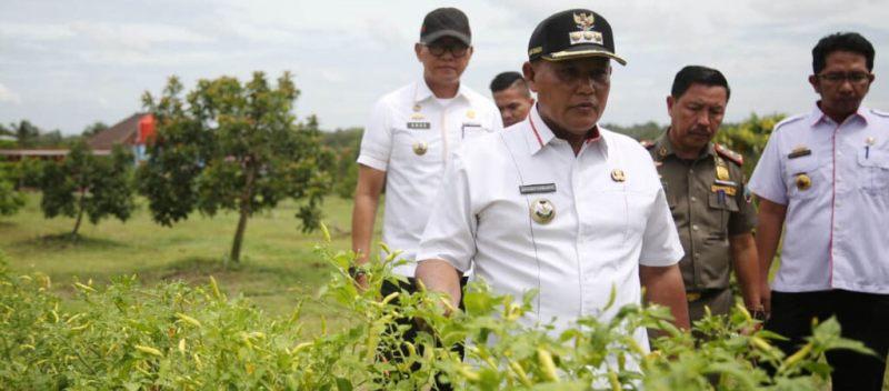 Bupati-Lampung-Selatan-Nanag-Ermanto-meninjau-progres-program-Petani-Milenial.jpg