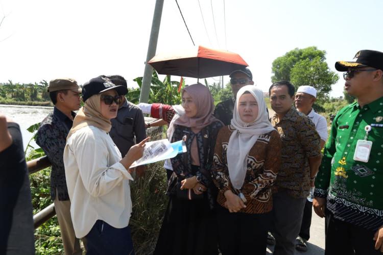 Bupati Lampung Timur: KNMP Jadi Peluang untuk Pengembangan Kawasan Pesisir Labuhan Maringgai - Tribunlampung.co.id