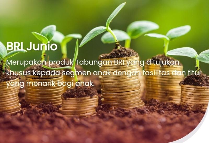 Cara-buka-tabungan-BritAma-Junio-aa.jpg