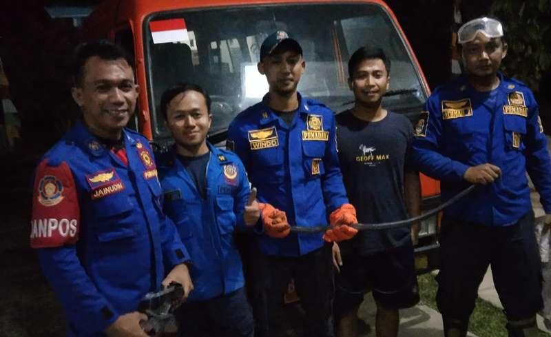 Damkarmat-Satpol-PP-Metro-evakuasi-ular-kobra-di-rumah-warga.jpg