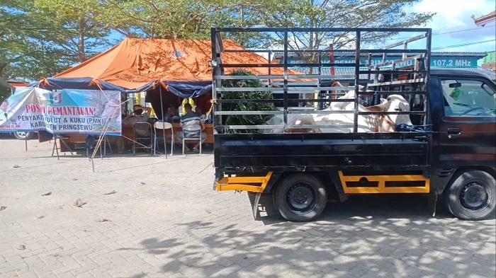 Dinas-Pertanian-Pringsewu-telah-memfungsikan-pos-pantau-PMK.jpg
