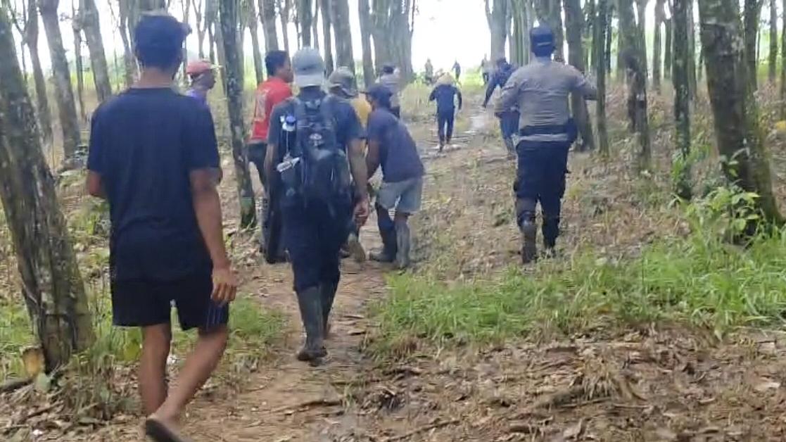 Kronologi Kades di Lampung Timur Meninggal Akibat Diserang Gajah Liar di TNWK