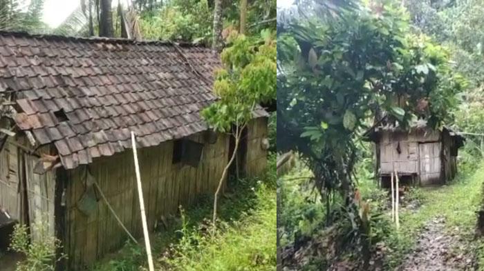 Gubuk-terduga-teroris-di-Lampung-kini-tak-berpenghuni.jpg