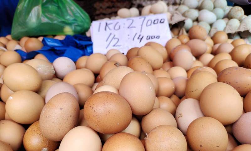 Harga Telur Ayam di Bandar Lampung Meroket Jelang Nataru, Rp 27 Ribu per Kg