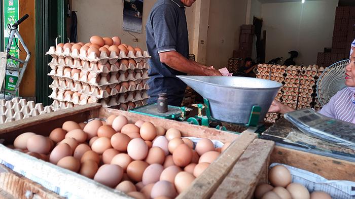 Harga-bawang-merah-dan-telur-ayam-di-Metro-kembali-naik.jpg